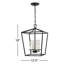 Dianna 4 - Light Chandelier-893921095-817122057-893921096