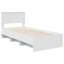 Bed-1834482703