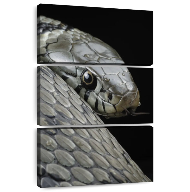 Brampt Necklace Snake, 38" H x 24" W