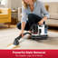 BSNAW Machine à nettoyer les tapis avec aspirateur puissant 21Kpa-131181654