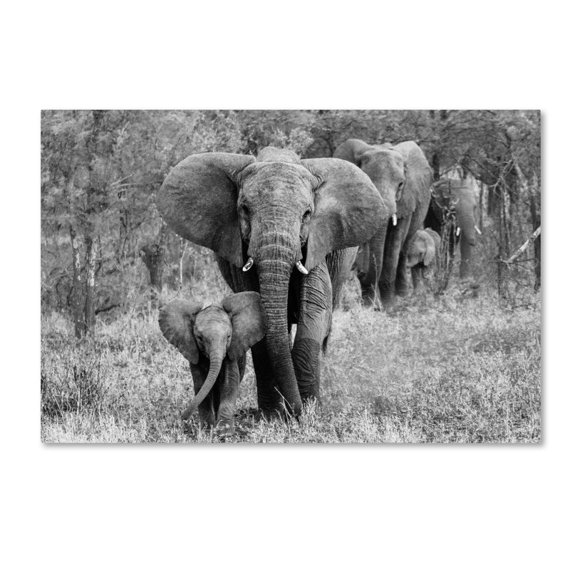 Elefamily Black and White Canvas Art with Wood Frame