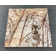 12" X 12" Micro-beveled Forrest Brown Marble Wall and Floor Use Tile