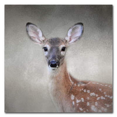 «Little Miss Lash White Tailed Fawn», reproduction d'art graphique sur toile tendue Vidur
