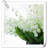 Orchid Arrangement