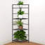Roughton 35 cm W Shelving Unit