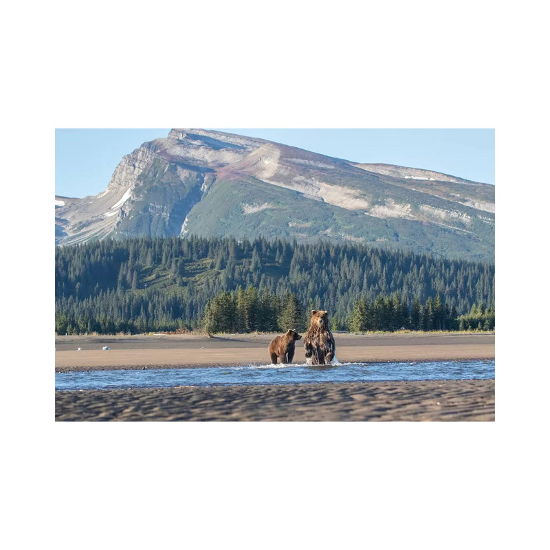 Alaska Bears And Mountain by Eric Fisher - Wrapped Canvas Gallery-Wrapped Canvas Giclée, 20.32 cm H x 30.48 cm W
