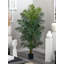 Faux Palm Tree in Pot-262863730