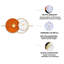 Adontae Iron Wall Clock