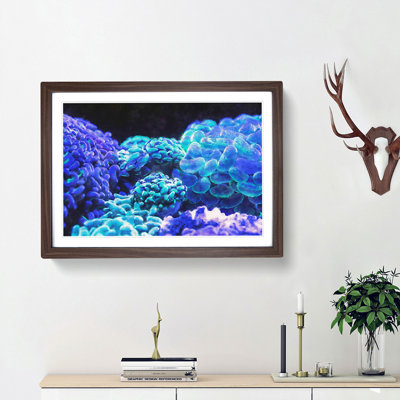 Neon Coral - Picture Frame Graphic Art Print