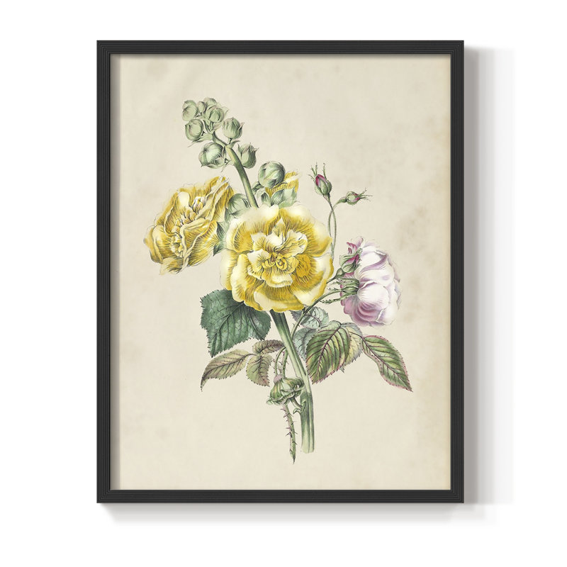 Antique Garden Bouquet II, reproduction encadrée - bois massif, Noir, H 20 po x l 16 po