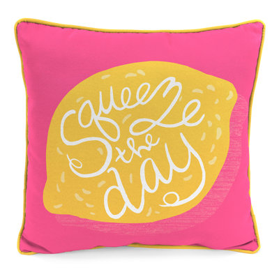 16" x 16" Outdoor Throw Pillow with Welt