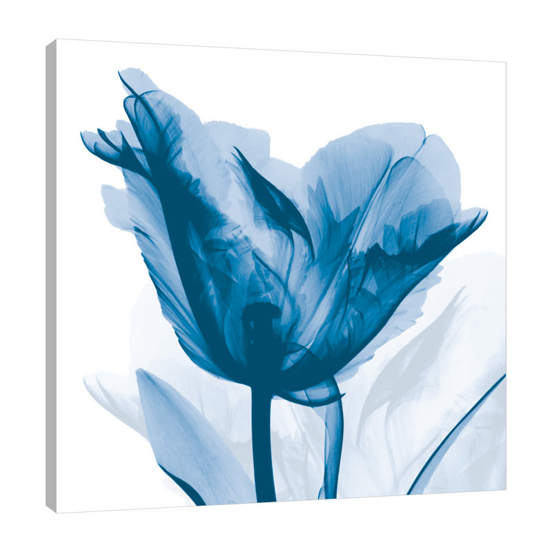 Lust Blue Tulip_H30 - Wrapped Canvas Print, 30 cm H x 30 cm W