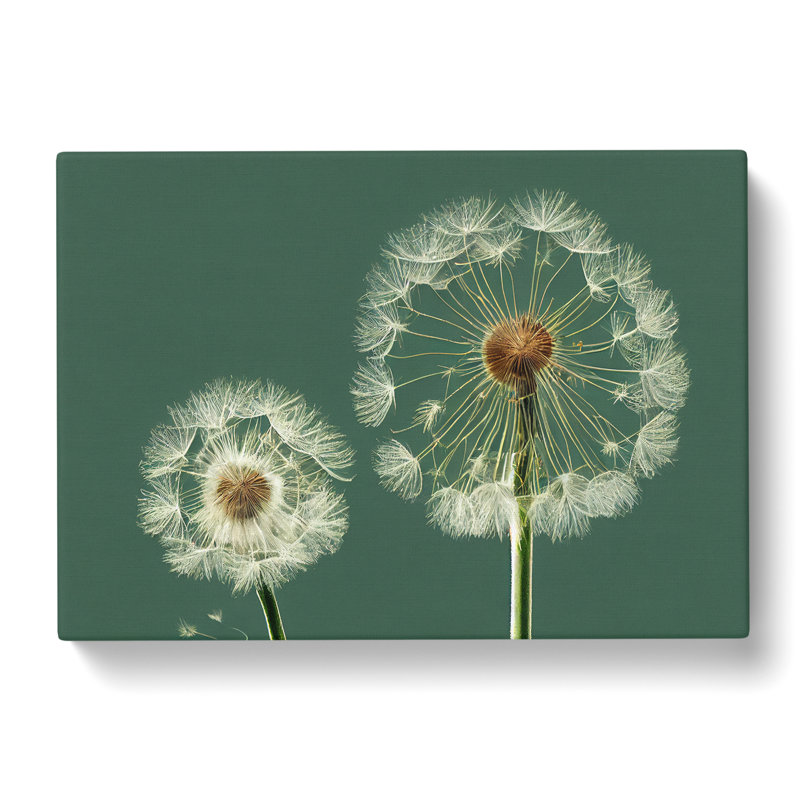 Ethereal Dandelion Flowers - Wrapped Canvas, 40cm H x 60cm W x 3cm D