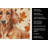 Red Brown Dachshund Heirloom Fall Kitchen Towel-1218231427