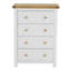 Pompey 70 cm W Chest of 4 Drawers-22181762
