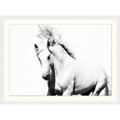 White Horse - Photographie de cadre photo sur papier