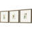" Antique Botanical I S/3 " by Vision Studio 3 - Pieces Painting Print