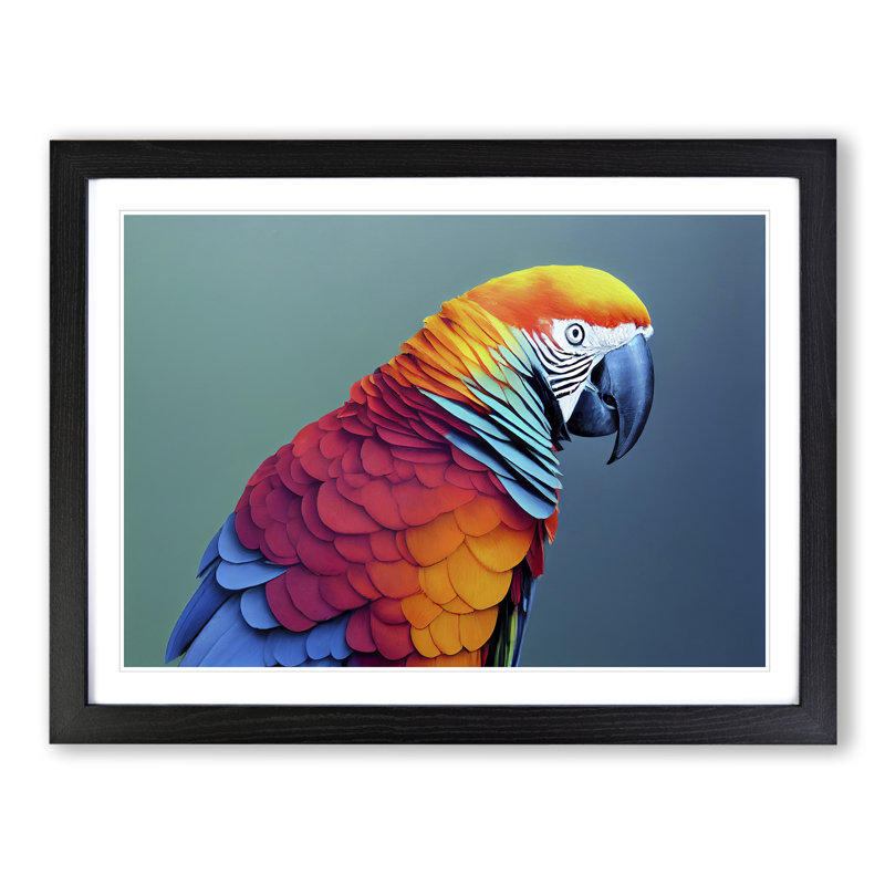 Colourful Parrot Portrait Vol.6 - Single Picture Frame Painting, Black Framed, 25cm H x 34cm W x 2cm D