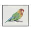 Giclée encadrée de perruche arc-en-ciel, design par Cady-1812183320-1812183321