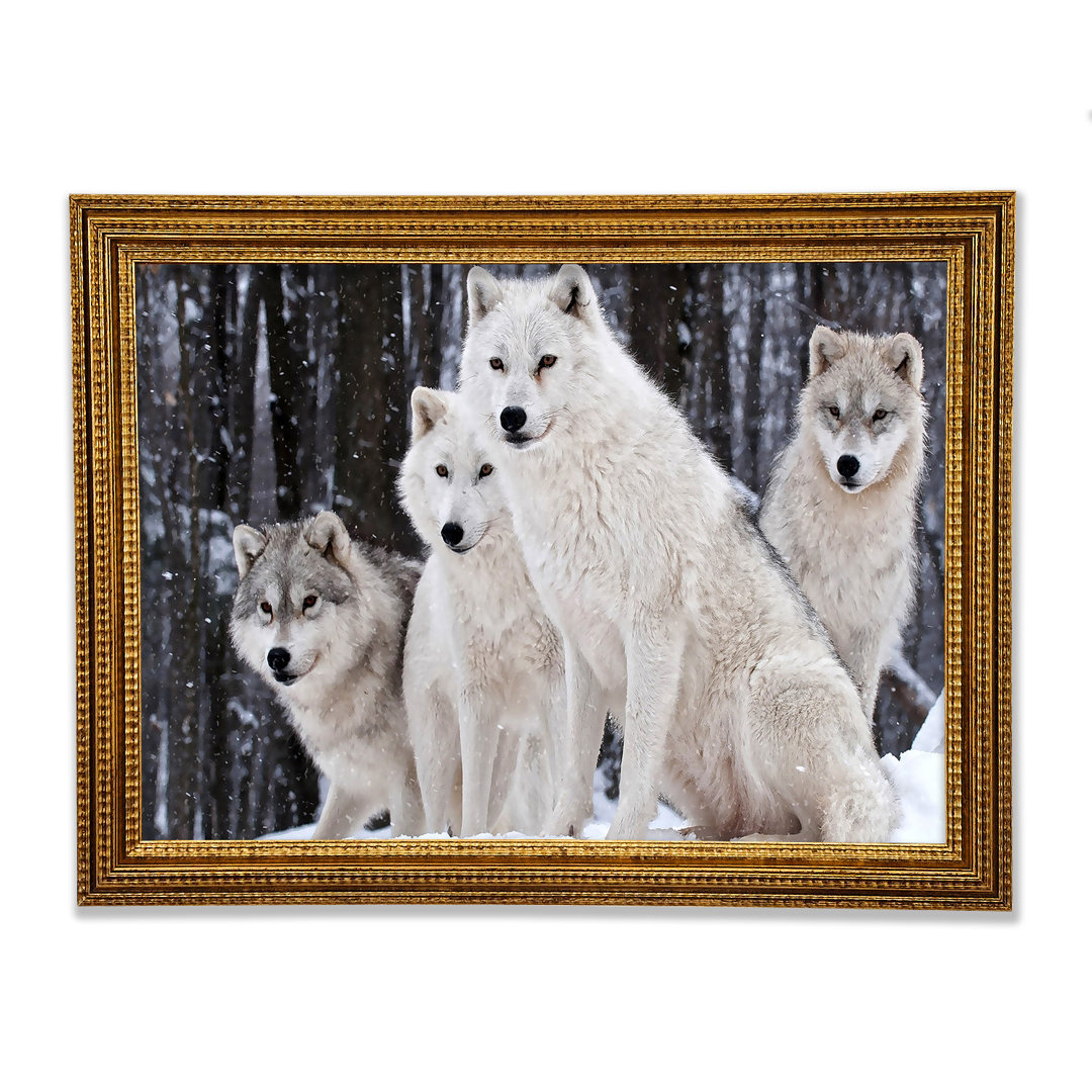 White Wolf Pack - Drucken