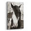«Pale Eyed Stallion» par Traer Scott-367858471