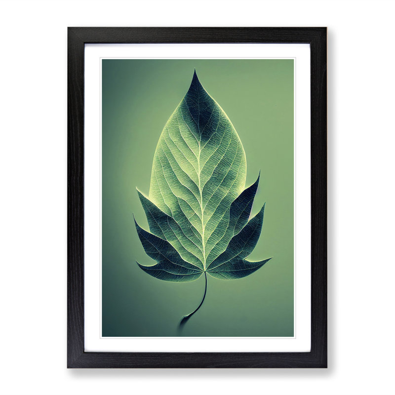 Single Plant Leaf No.1 - Framed Print, Black Framed, 64cm H x 46cm W x 2cm D