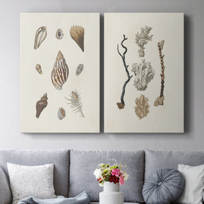 Coquillages Knorr et corail - Toile tendue avec châssis de qualité supérieure - Prêt à accrocher