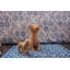 Amanda Lindroth Potcake Wicker Dog (Lg)