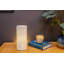 Novelty Lamp