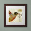 «Hummingbird Brocade III» par Jadaya, impression encadrée-20097744-20097743
