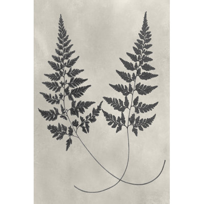 «Vintage Fern Study I», impression sur toile