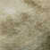 Premium Machine Washable Ducote AMF1070 Modern Rug