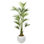 8' Kentia Palm in White Porter Planter