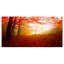«Yellow Sun Rays in Red Forest», reproduction de photo sur toile tendue-18438067-33219968