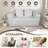 Loveseat Couch With Two Back Cushions