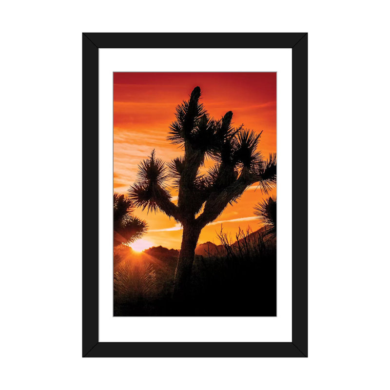 « joshua tree views v », impression sur toile, H 24 po x l 16 po x P 1 po, Papier d'art encadré noir, Blanc