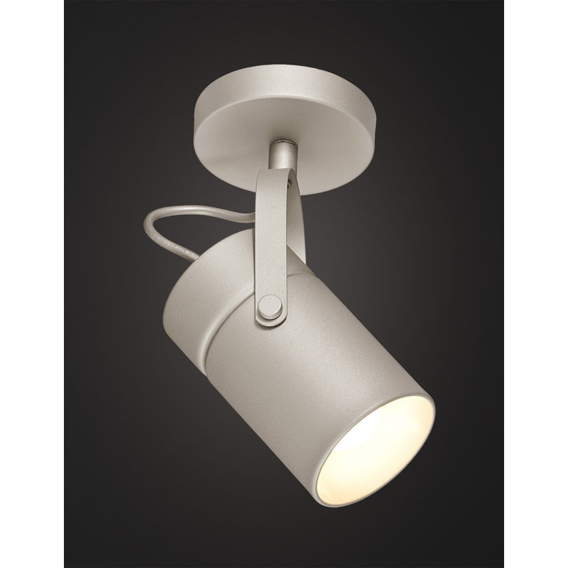 Aruba Spotlight, Silver
