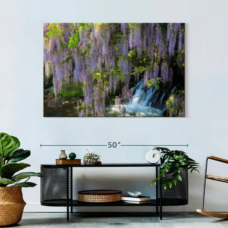 Harnek Wisteria Cascade, H 32 po x l 48 po