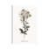 Sketchbook Leadwort by Kelly Donovan - Wrapped Canvas Gallery-Wrapped Canvas Giclée