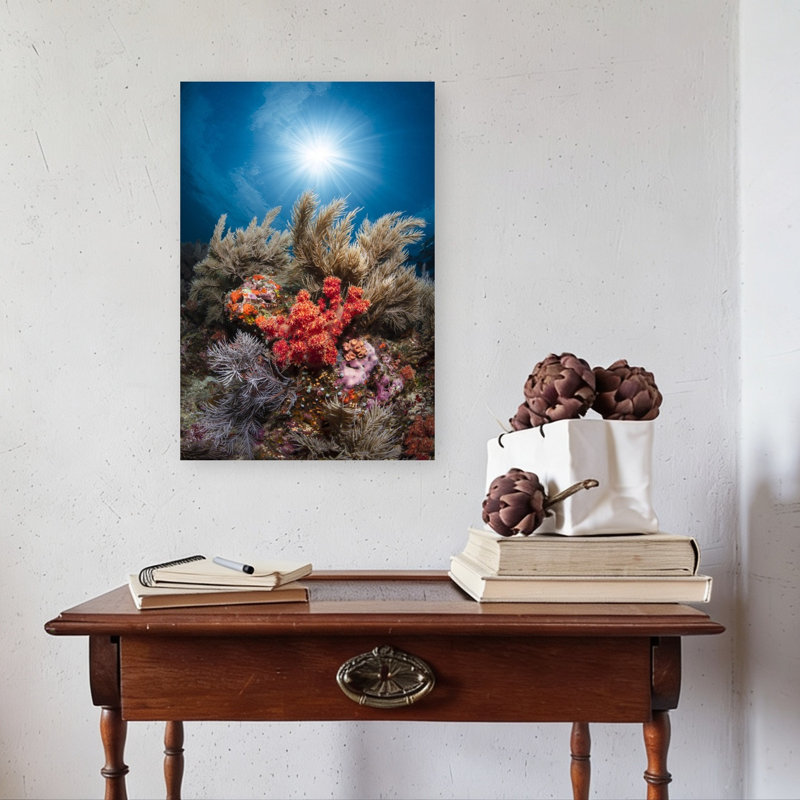Sunlit Coral Garden Colorful Serene Tranquil Fish Nature Ocean Wall Art Print 1 Piece Wrapped Canvas Wall Art