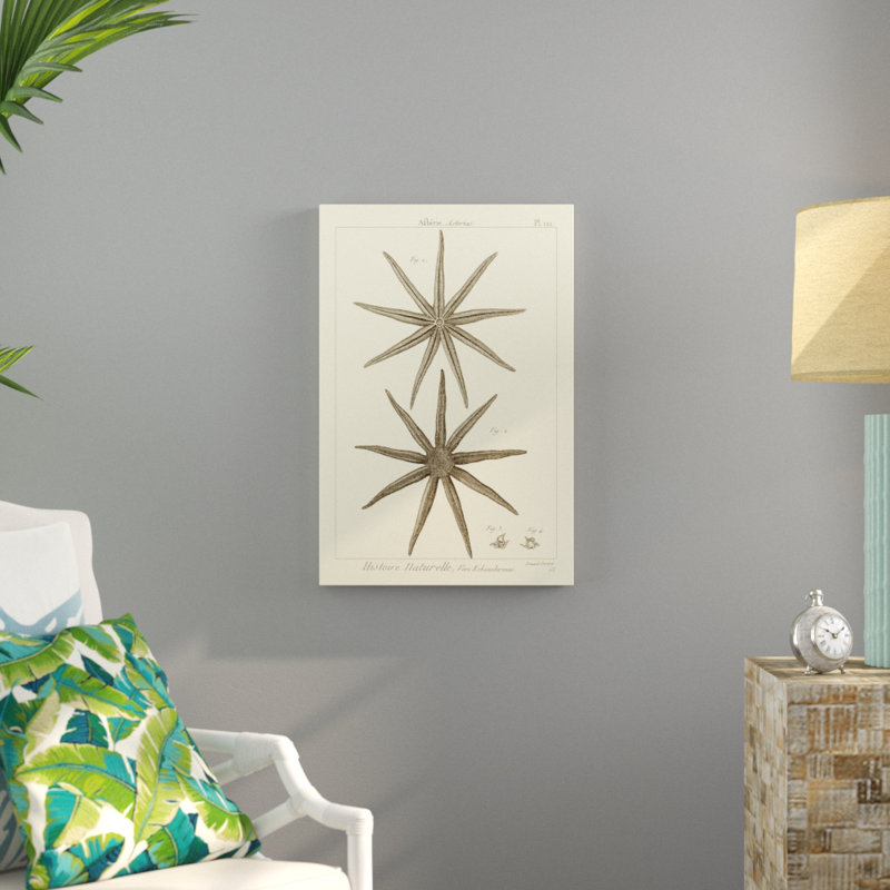 Striking Starfish III - Graphic Art, 76cm H x 51cm W, Wrapped Canvas