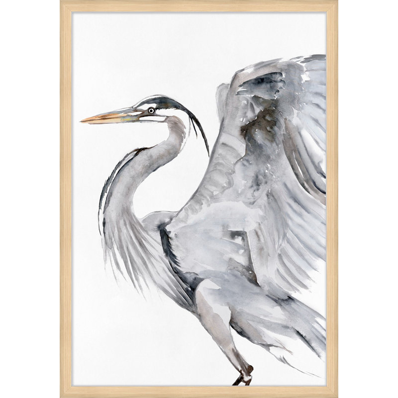 Ardeidae 1 Print by Thom Filicia