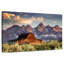 Lilie Barn At Teton-107699747