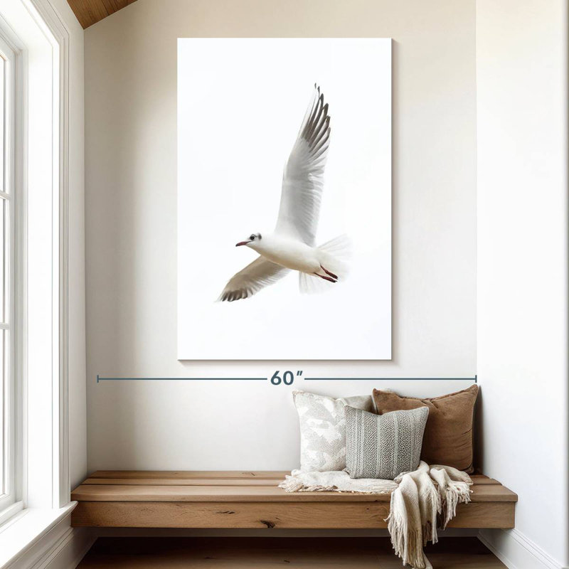 Brampt Flying Kittiwake Gull, 51" H x 34" W