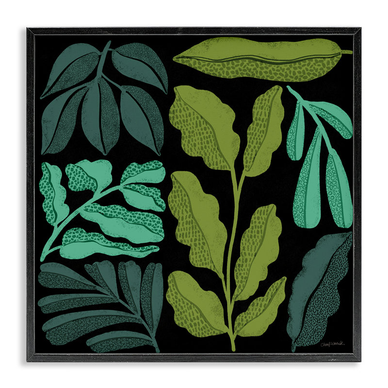  «Plant Sprig Collage Giclee Art» par Cheryl Warrick, Giclée encadrée noir minuit, H 24 po x l 24 po