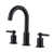 Oil Rubbed Bronze