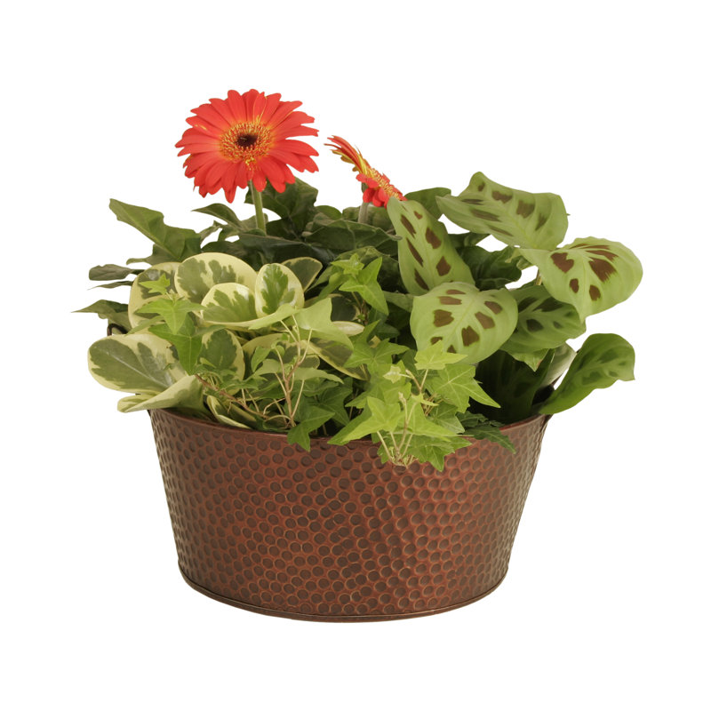 Ravello Metal Decorative Bowl 1