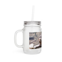 6-Piece Clear Mason Jars - 16 oz, Glass Drink Bottle with Lid and Straw,Frozen Juice Cup,Travel Mug Rosalind Wheeler