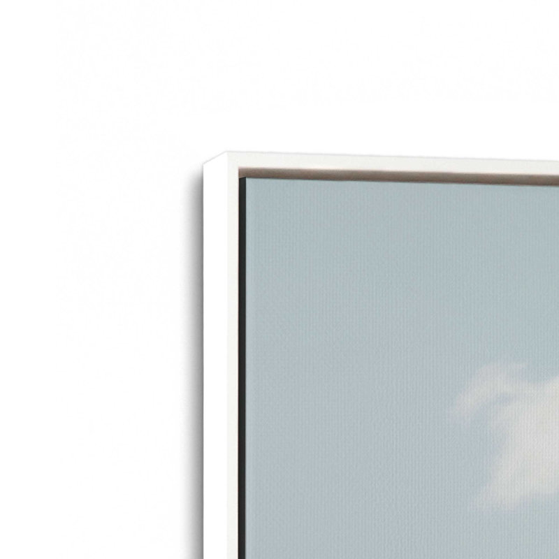 Cacti Perch Canvas Print, 12.75" H x 18.75" W x 1.75" D, Opaque White Framed