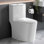 Toilette une pièce à hauteur confortable 17 po BCANHome ADA, siphon à double chasse 1,14 / 1,58 GPF, siège à fermeture en douceur, conception à accès facile